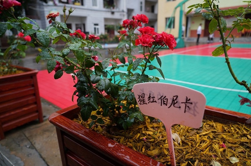 1758788843857580.jpg 内文-14.jpg